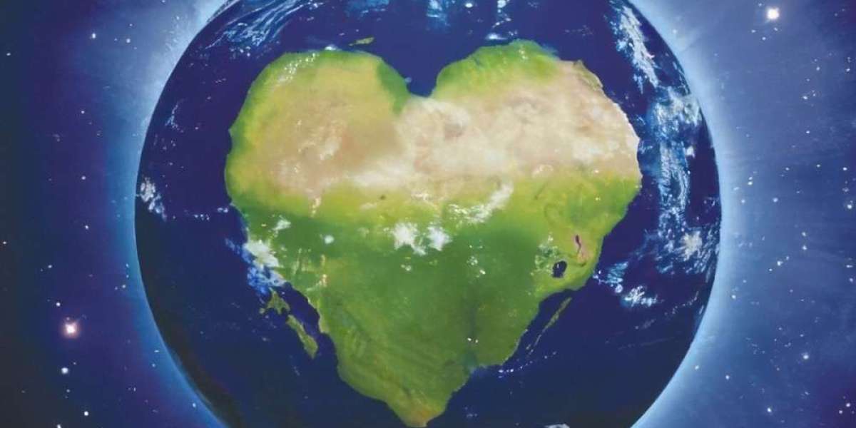 The Difference between Vision and Ideals