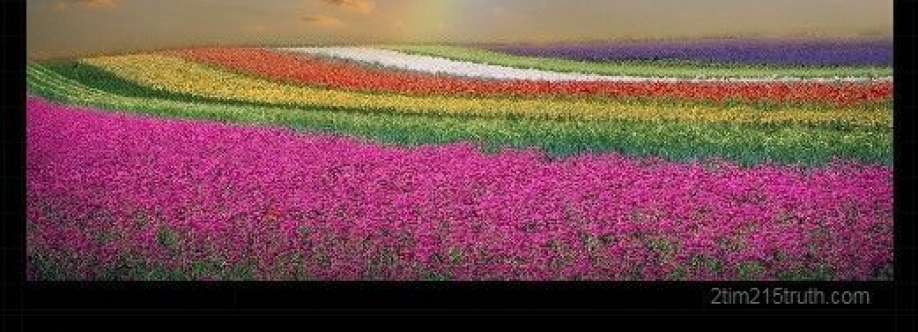 Group Discusion on Genesis Chapter 9 KJV Cover Image